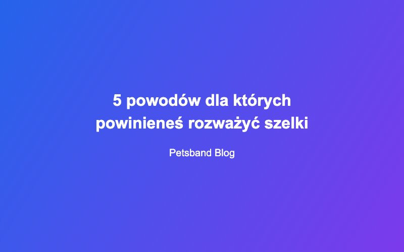 5 powodów dla których powinieneś rozważyć szelki dla psa